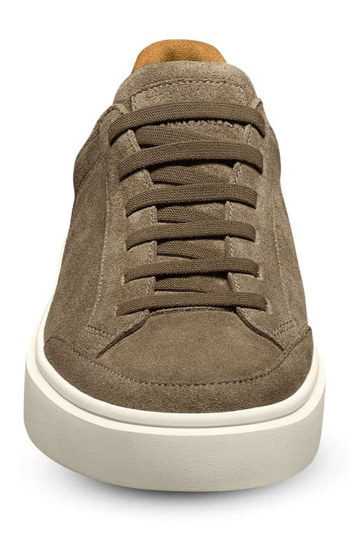 Allen Edmonds Oliver Sneaker In Tobacco