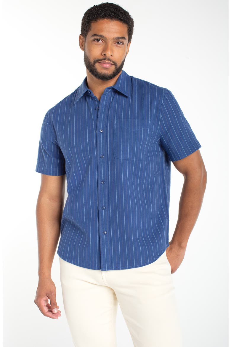 Pinstripe Short Sleeve Cotton Button-Up Shirt, Alternate, color, BLUE MULTI