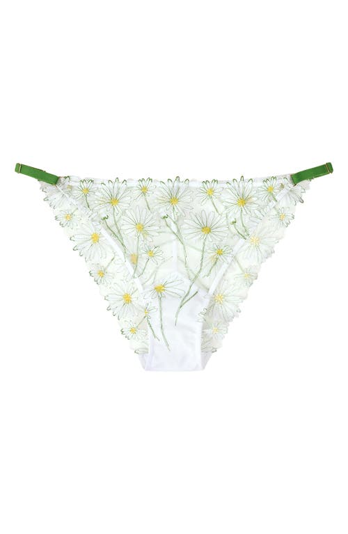 Huit Dance Des Fleurs Embroidered Lace Bikini In Floral Green