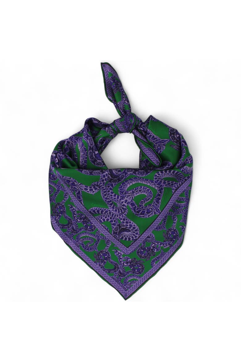 Silk Snake Scarf, Main, color, Purple x jade
