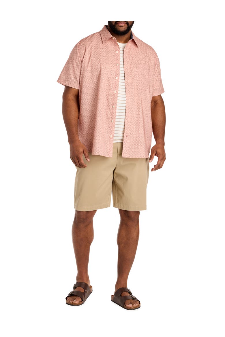 Big & Tall Geometric Print Sport Shirt V2, Alternate, color, ASHROSE