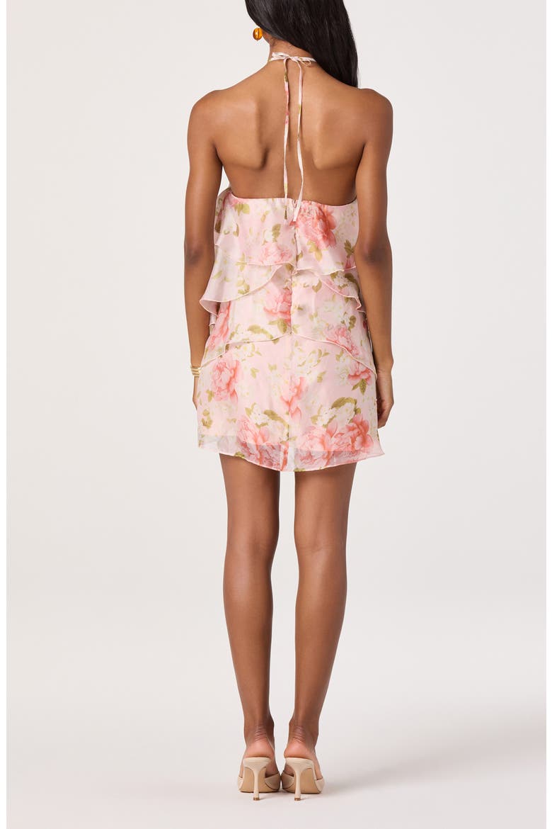 Ofra Floral Halter Neck Minidress, Alternate, color, BLUSH FLORAL