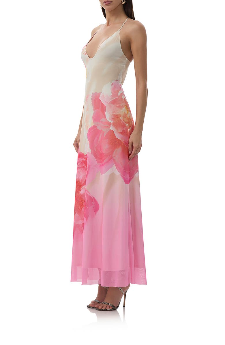 AFRM Romy Floral Mesh Maxi Slipdress, Alternate, color, Cloud Floral