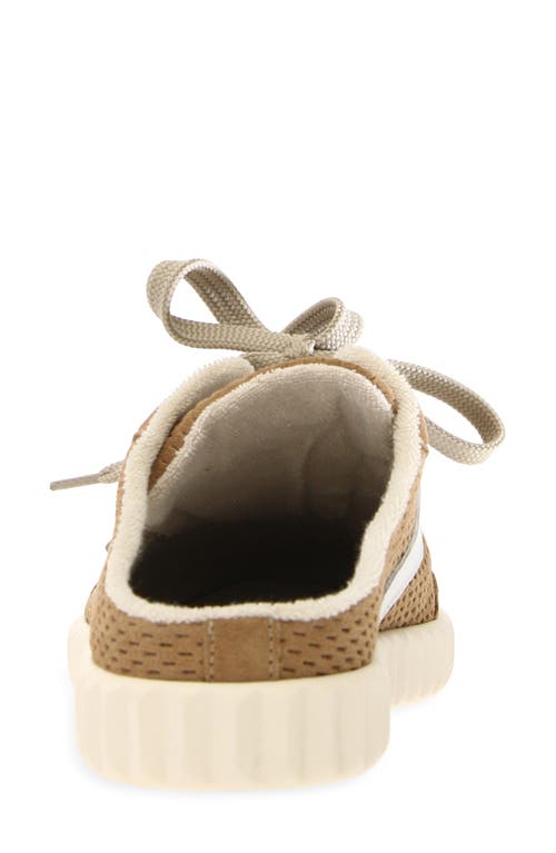 VOILE BLANCHE VOILE BLANCHE INES MULE