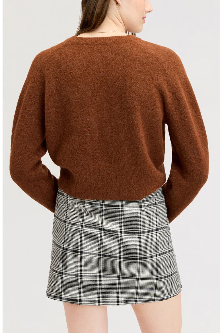 Deep V-Neck High Rib Sweater, Alternate, color, WALNUT