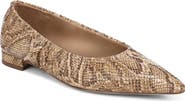 Sam Edelman Essex Pointed Toe Flat