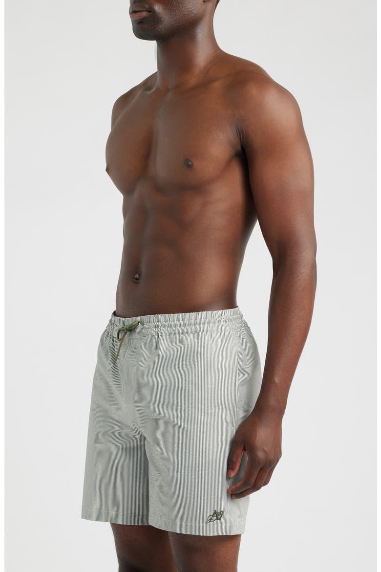 Ciper Stripe Swim Trunks, Alternate, color, CHALK WHITE/ GREEN