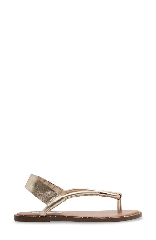 Steve Madden Meduza Sandal In Gold Leather