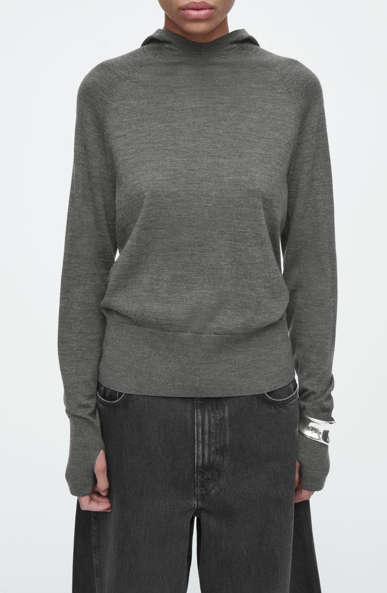 COS Merino Wool Sweater Hoodie, Main, color,