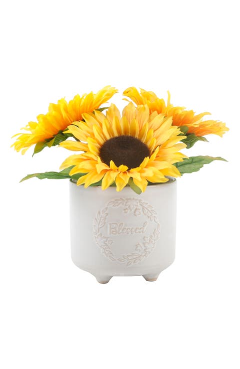 Blessed Sunflower Pot