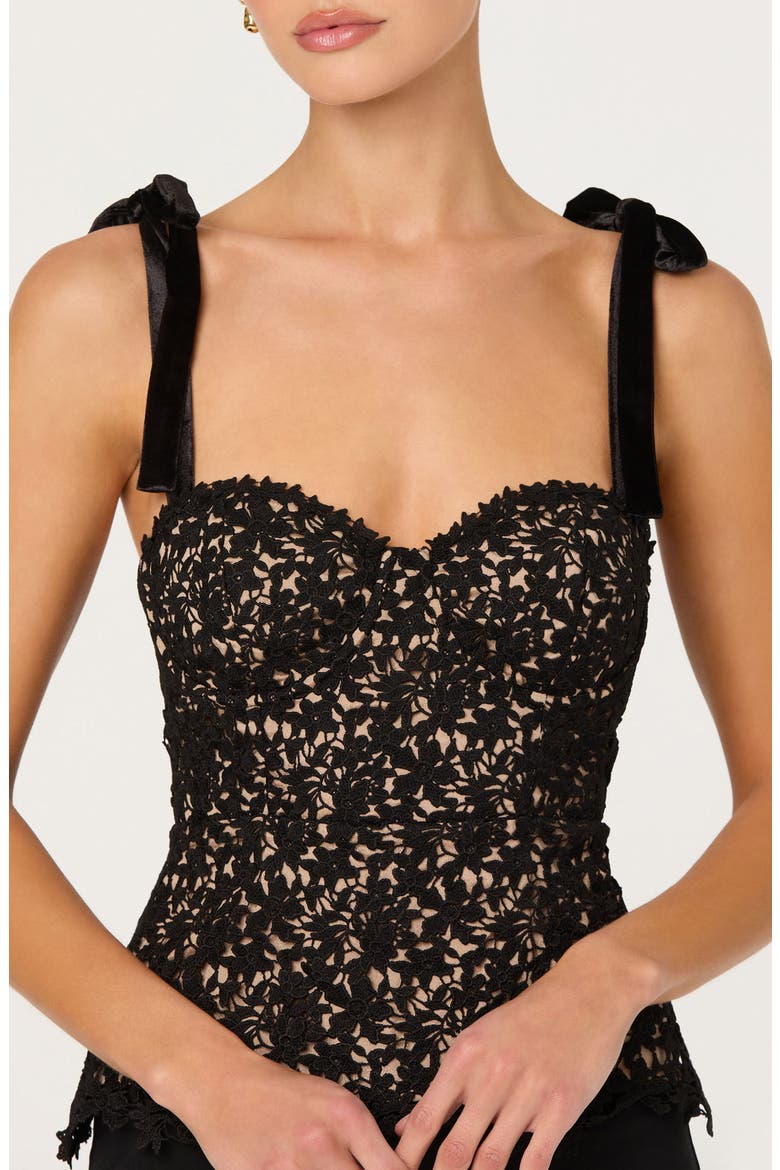 Donne Lace Corset Top, Alternate, color, BLACK NUDE