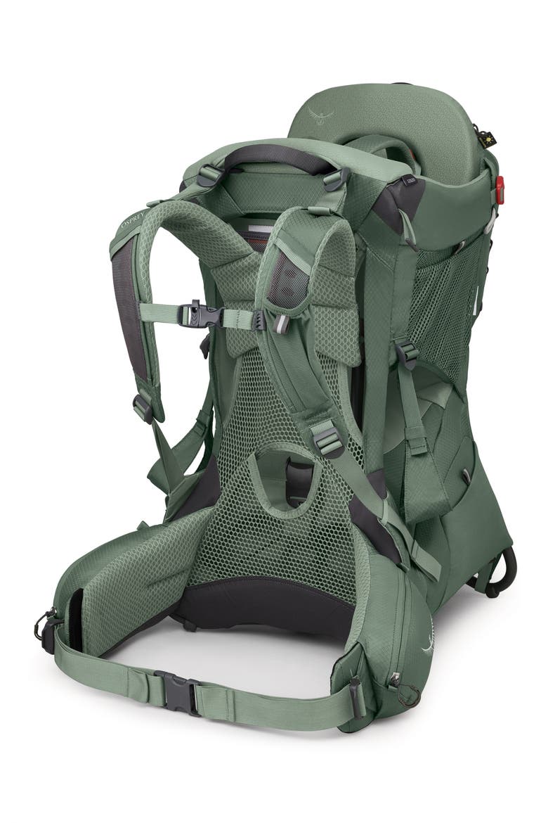 Poco™ Premium Child Carrier, Alternate, color, KOSERET GREEN