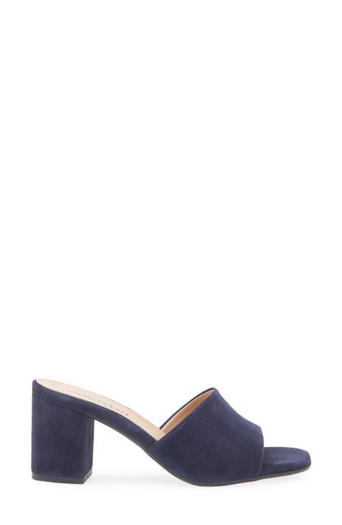 Cordani Irina Slide Sandal In Navy Suede