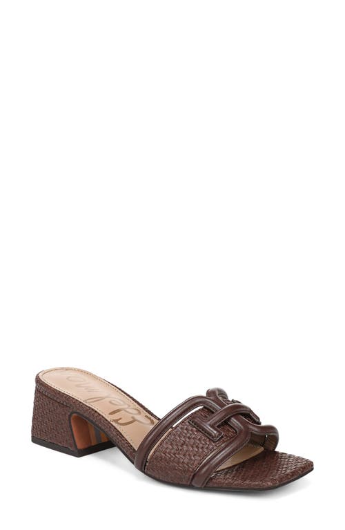 Sam Edelman Waylon Slide Sandal In Brown