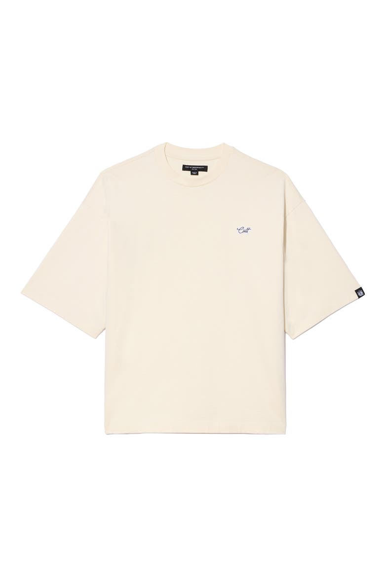 Oversized Boxy Short Sleeve T-Shirt, Alternate, color, WINTER WHITE