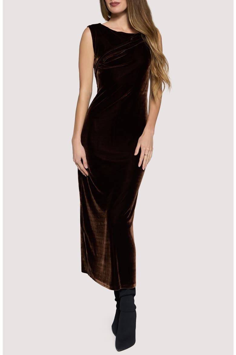Woodland Hour Stretch Velvet Maxi Dress, Main, color, BROWN