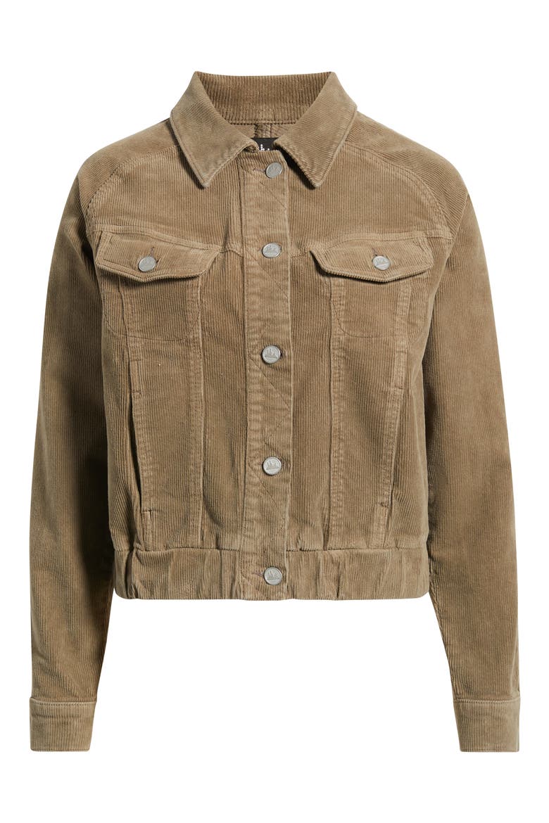 Corduroy Bomber Jacket, Alternate, color, MUSHROOM