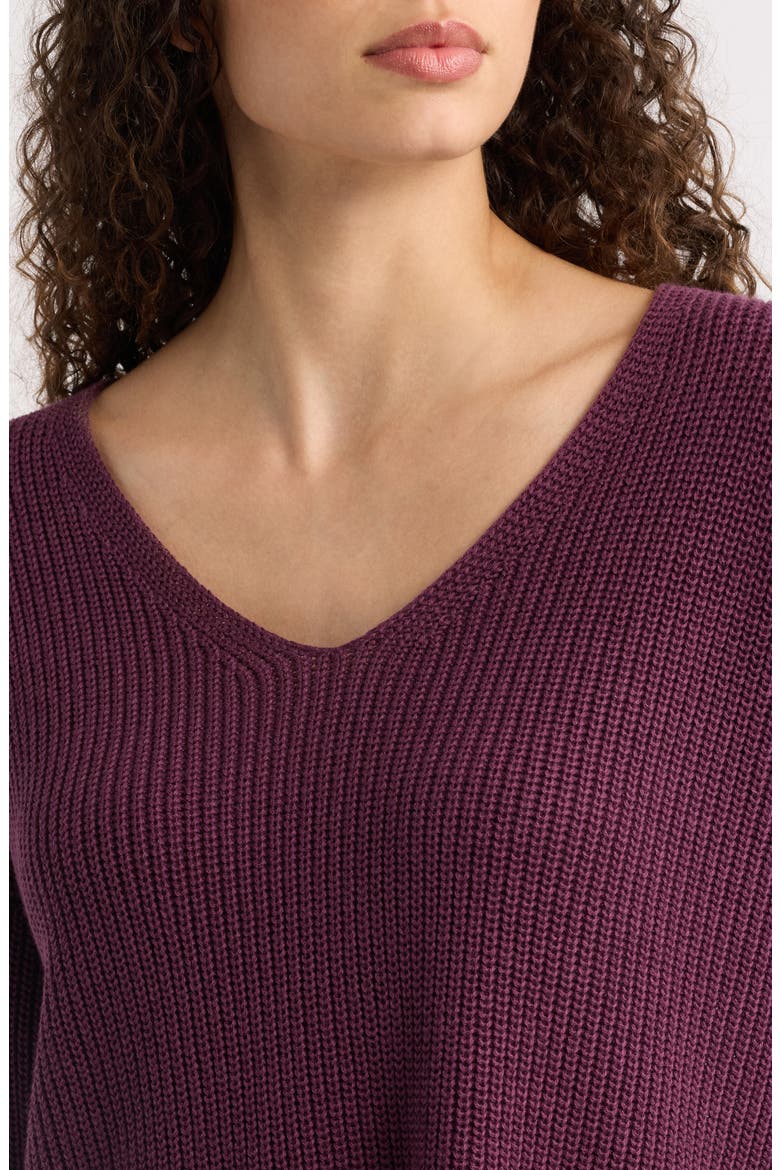 V-Neck Organic Cotton & Tencel Lyocell Sweater, Alternate, color, PURPLE CARROT