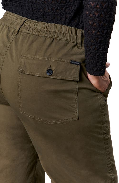 Sanctuary The Army Pants In Brown