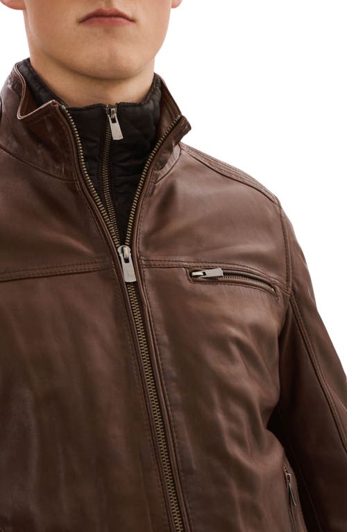Regency Lambskin Leather Jacket In Brown