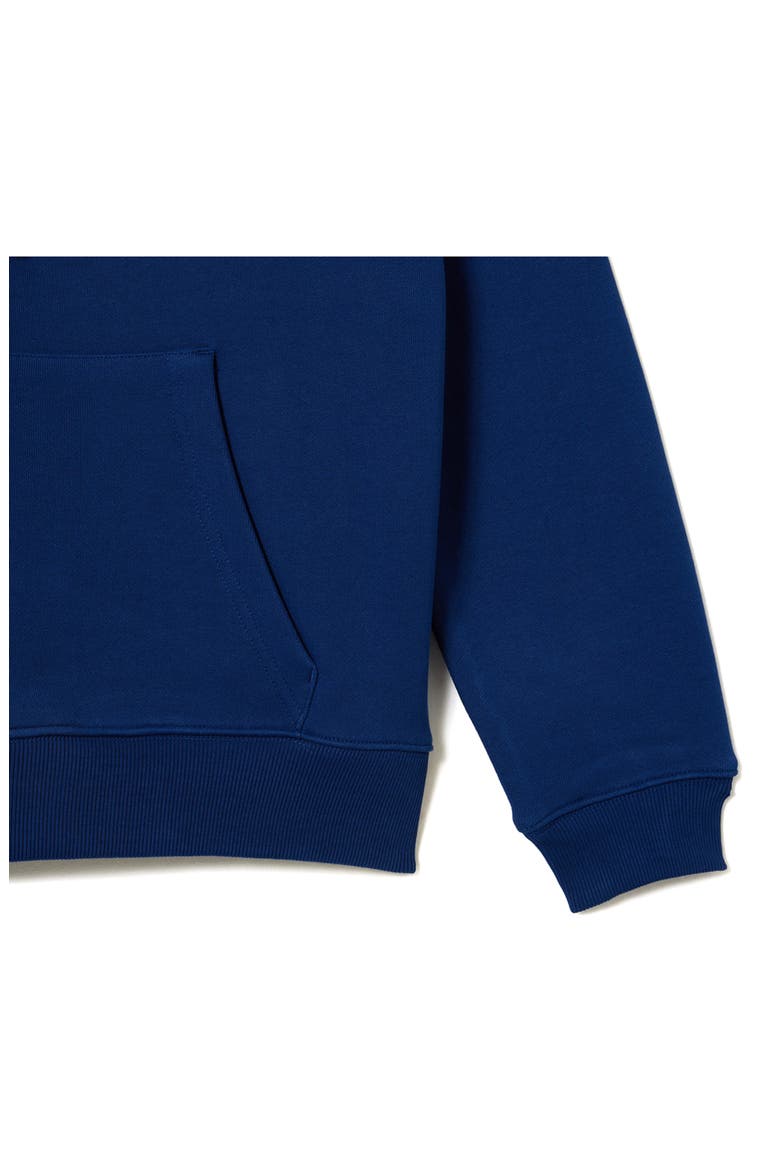 Loose Fit Cotton Hoodie, Alternate, color, F9F METHYLENE