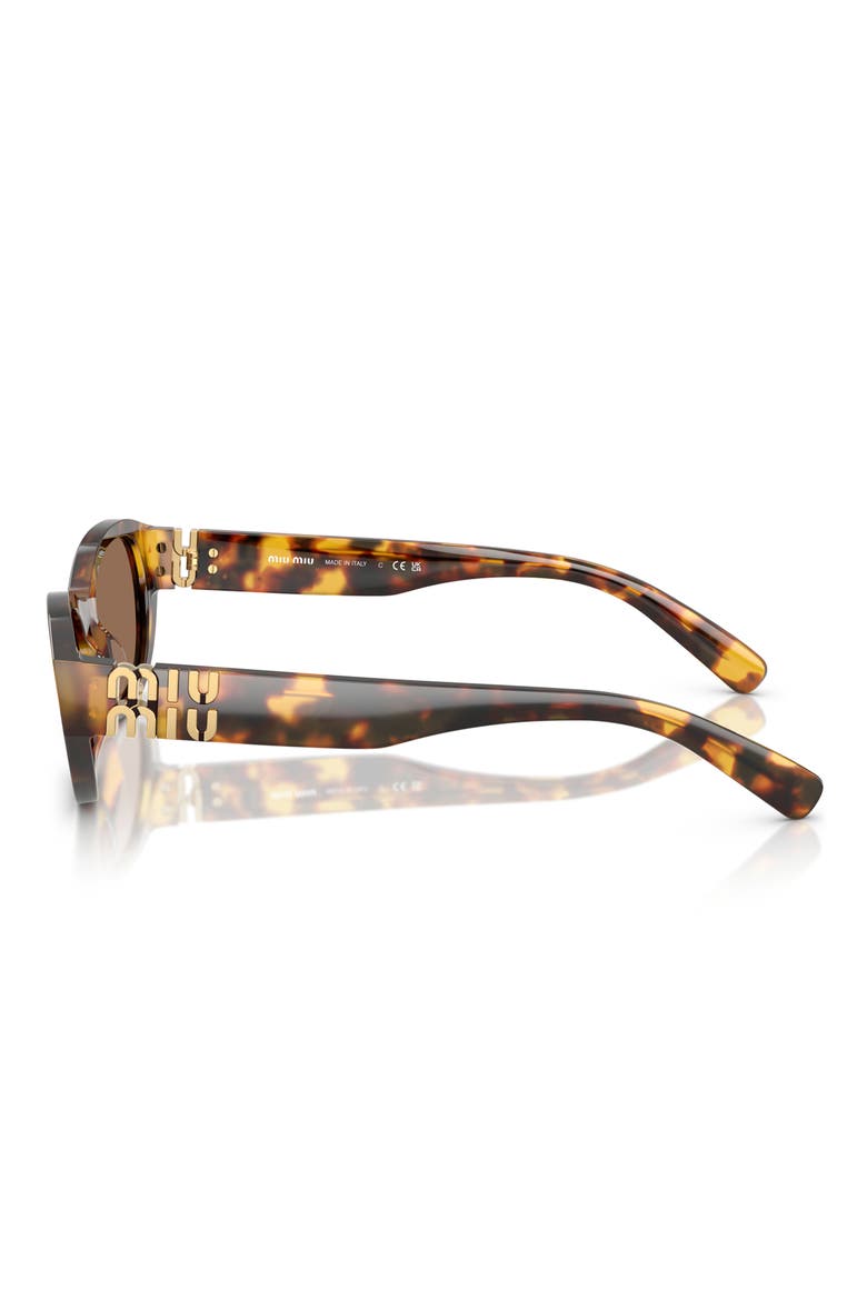 53mm Oval Sunglasses, Alternate, color, HONEY HAVANA / DARK BROWN