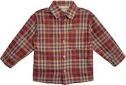 Beckett and Bear Noah Shirt