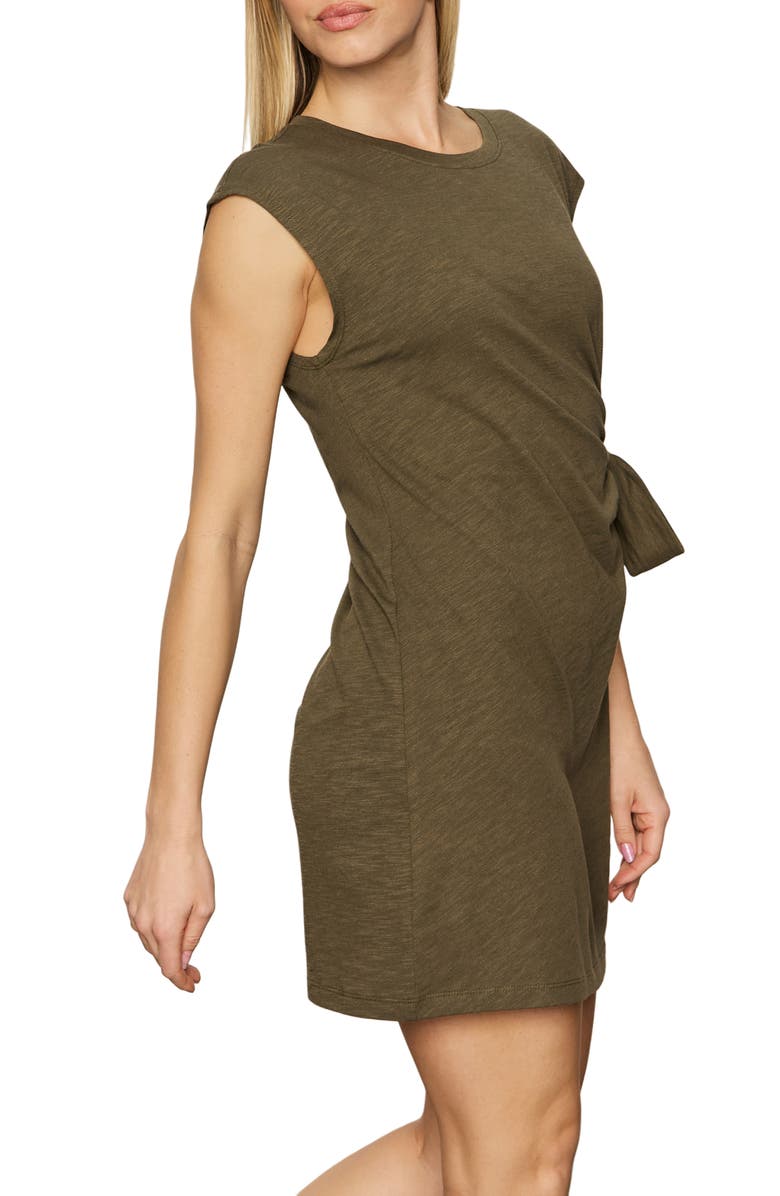 Sanctuary Stripe Side Tie Organic Cotton Blend T-Shirt Dress, Alternate, color, 