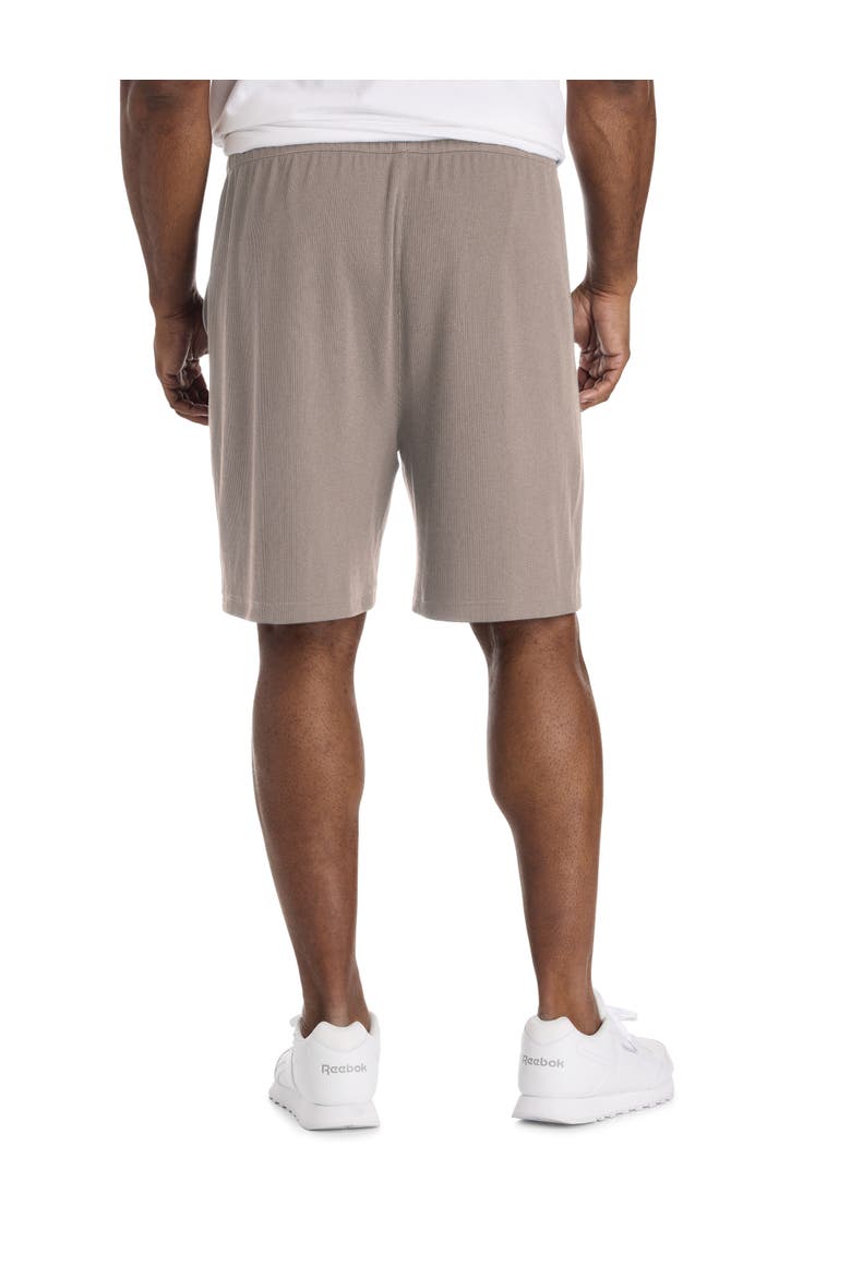 Big & Tall Performance Textured Shorts, Alternate, color, GRAINY GREY