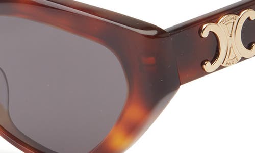 Celine Triomphe 17 56mm Cat Eye Sunglasses In Brown