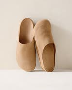 Haven Well Within Suede Clogs