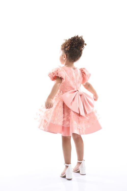 Tulleen Moneta Floral-appliqué Dress In Coral