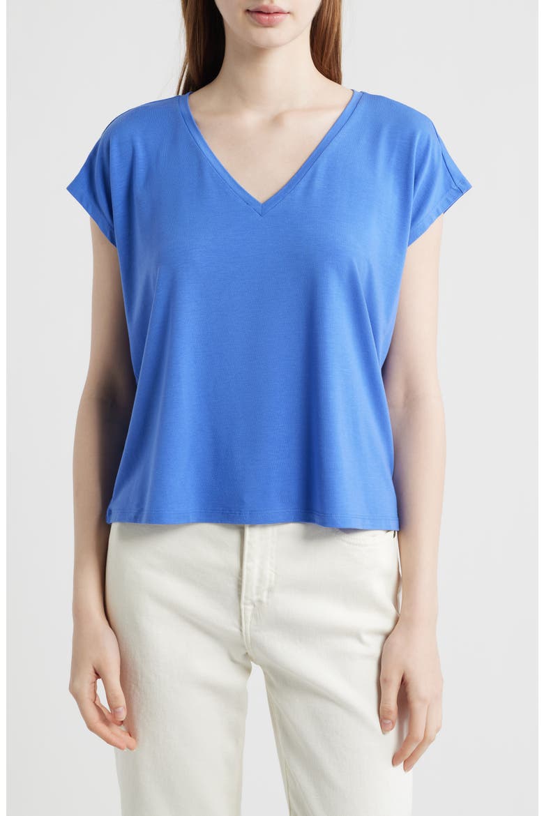 V-Neck Boxy T-Shirt, Main, color, BLUE STAR