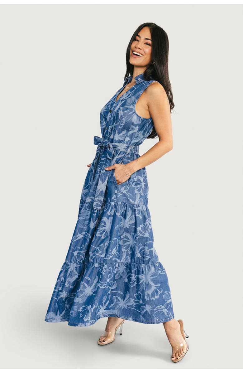 Baltic Børn Rocío Soft Denim Dress, Alternate, color, Blue Print