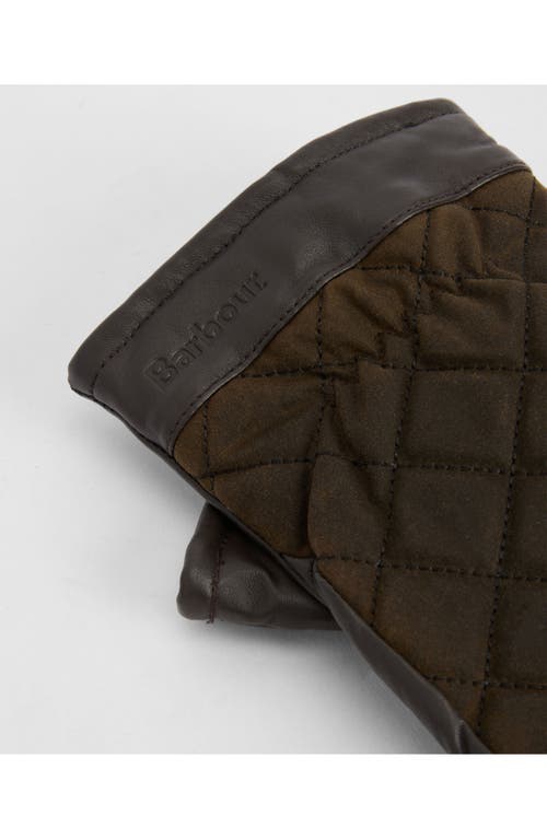 Barbour Dalegarth Gloves In Brown