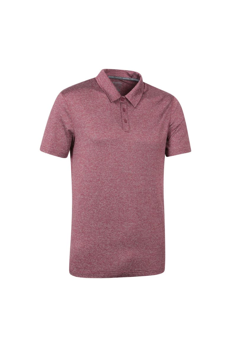 Agra Stripe Polo Shirt, Alternate, color, Burgundy