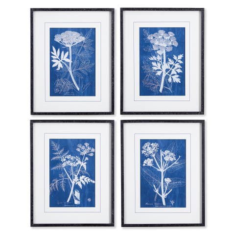 Cyanotype Queen Annes Lace Prints Set of 4