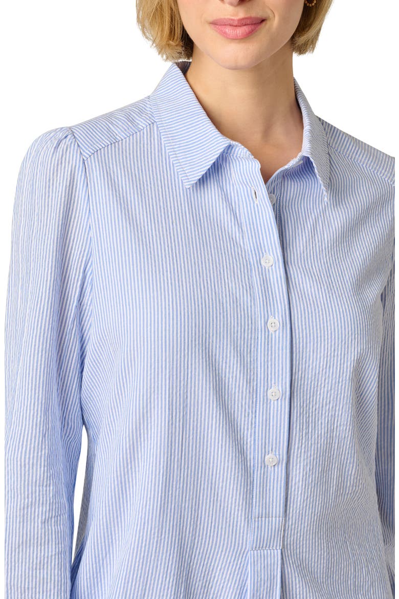 Hailey Stripe Button-Up Shift Shirtdress, Alternate, color, BLUE/ WHITE