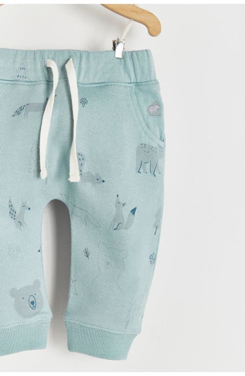 Babycottons Merlin Printed Jogger In Multicolor