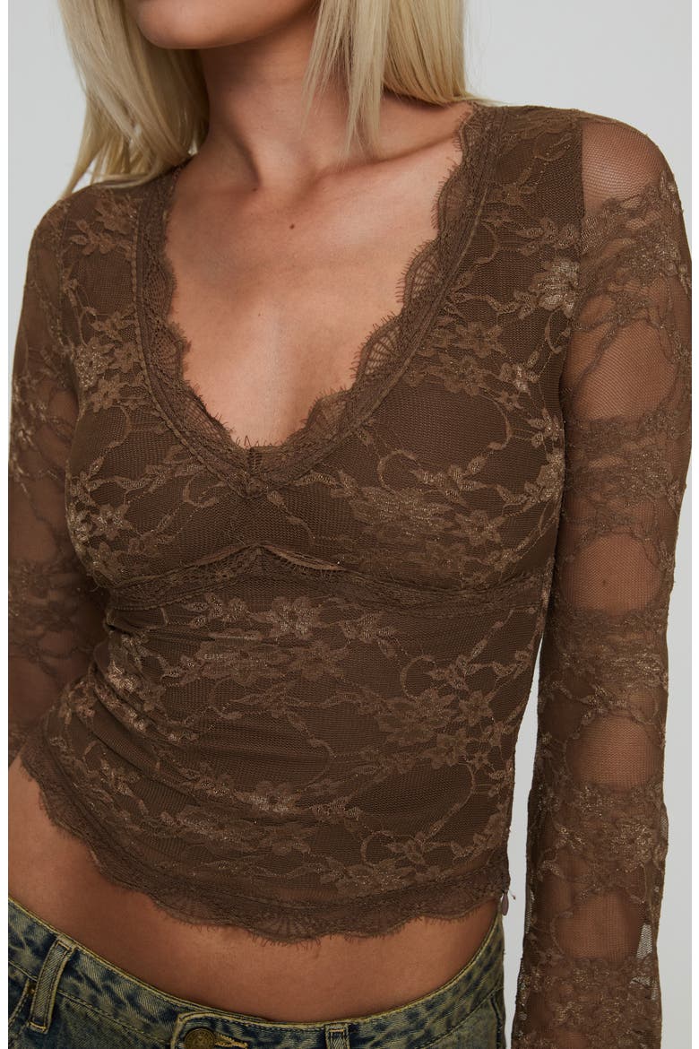 Pitter Long Sleeve Floral Mesh Top, Alternate, color, BROWN