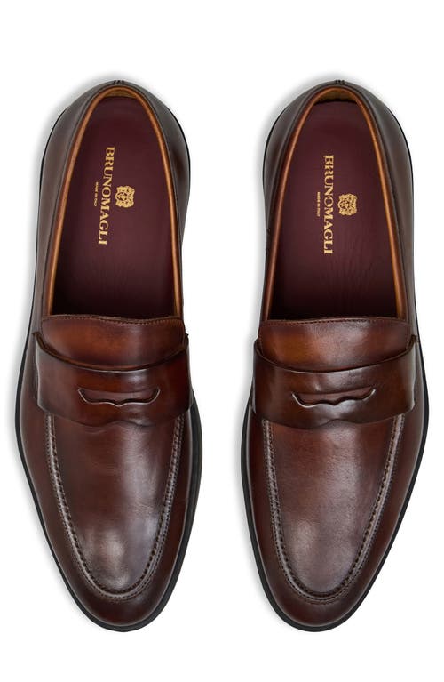 Bruno Magli Prato Penny Loafer In Cognac/black