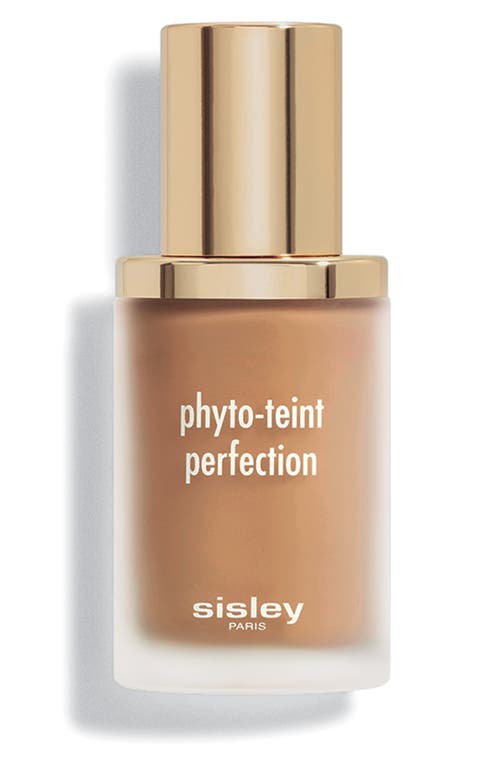 Sisley Paris Phyto-Teint Perfection Foundation in 6W Chestnut 