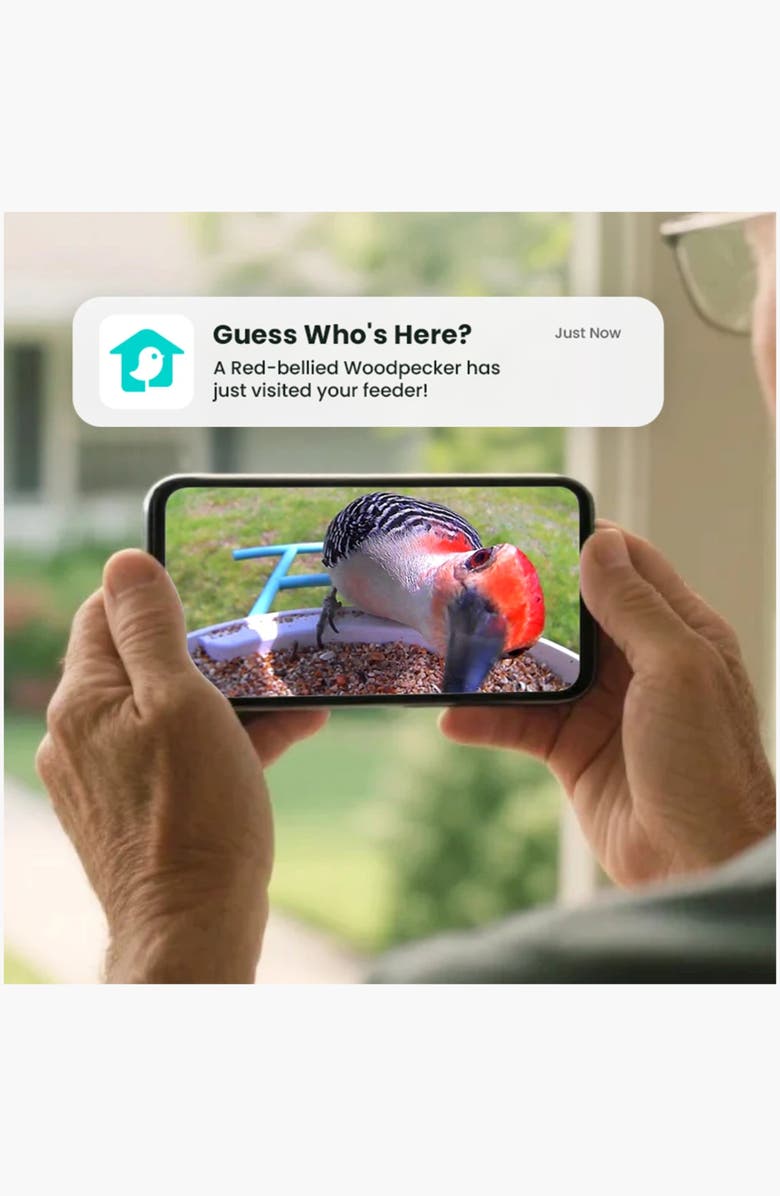 Birdfy Solar-Powered Smart Bird Feeder with Camera, Alternate, color, Blue