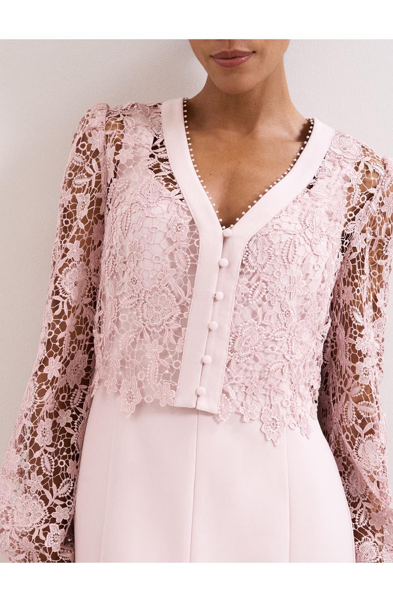 Phase Eight Ayumi Part Lace Midi Dress, Alternate, color, Pale Pink