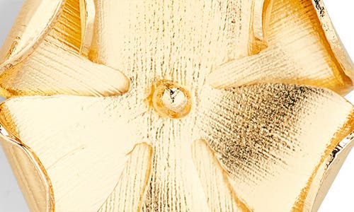 Ki-ele Small Thalia Orchid Stud Earrings In Gold