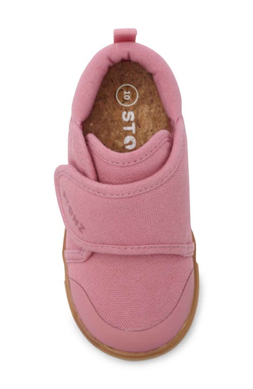Stonz Cruiser Sneaker In Dusty Rose