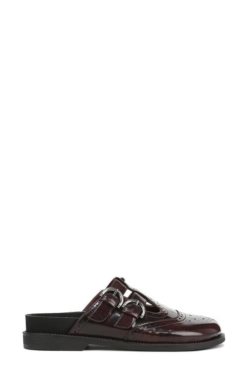 Circus Ny By Sam Edelman Claudia Mule In Brown