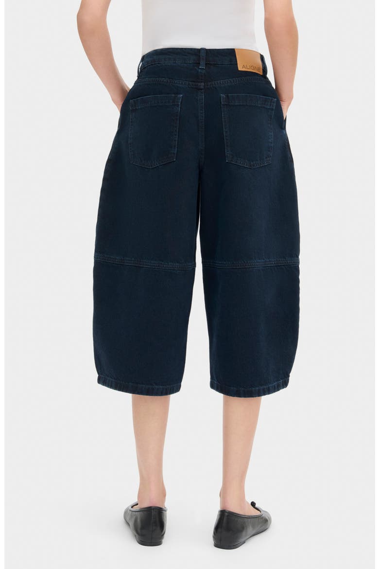 Haven Balloon Shorts, Alternate, color, BLUE BLACK