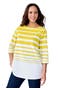  Golden Citrus Stripe