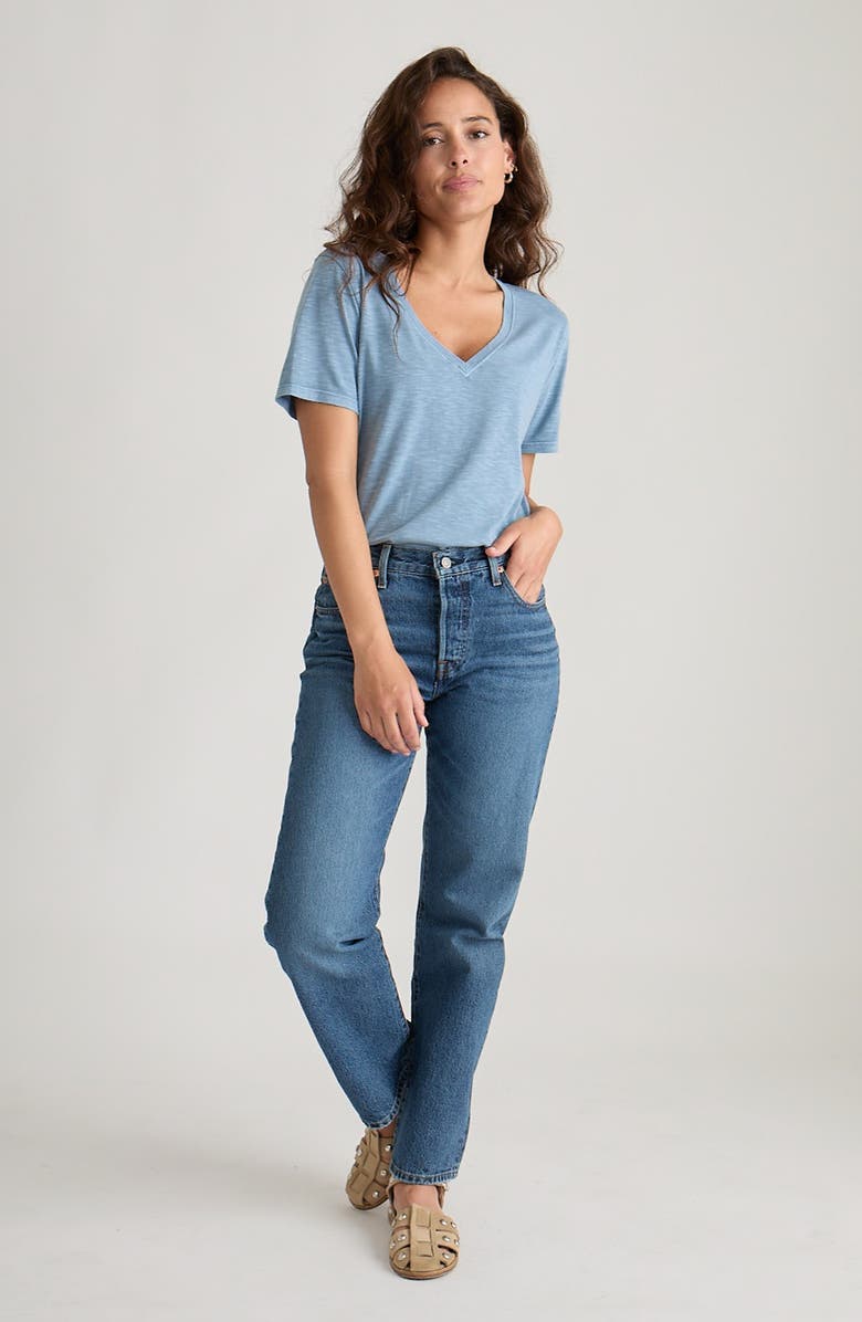 Marine Layer V-Neck Slub T-Shirt, Alternate, color, Coronet Blue